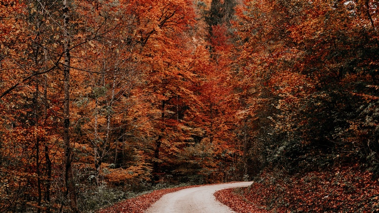 fall